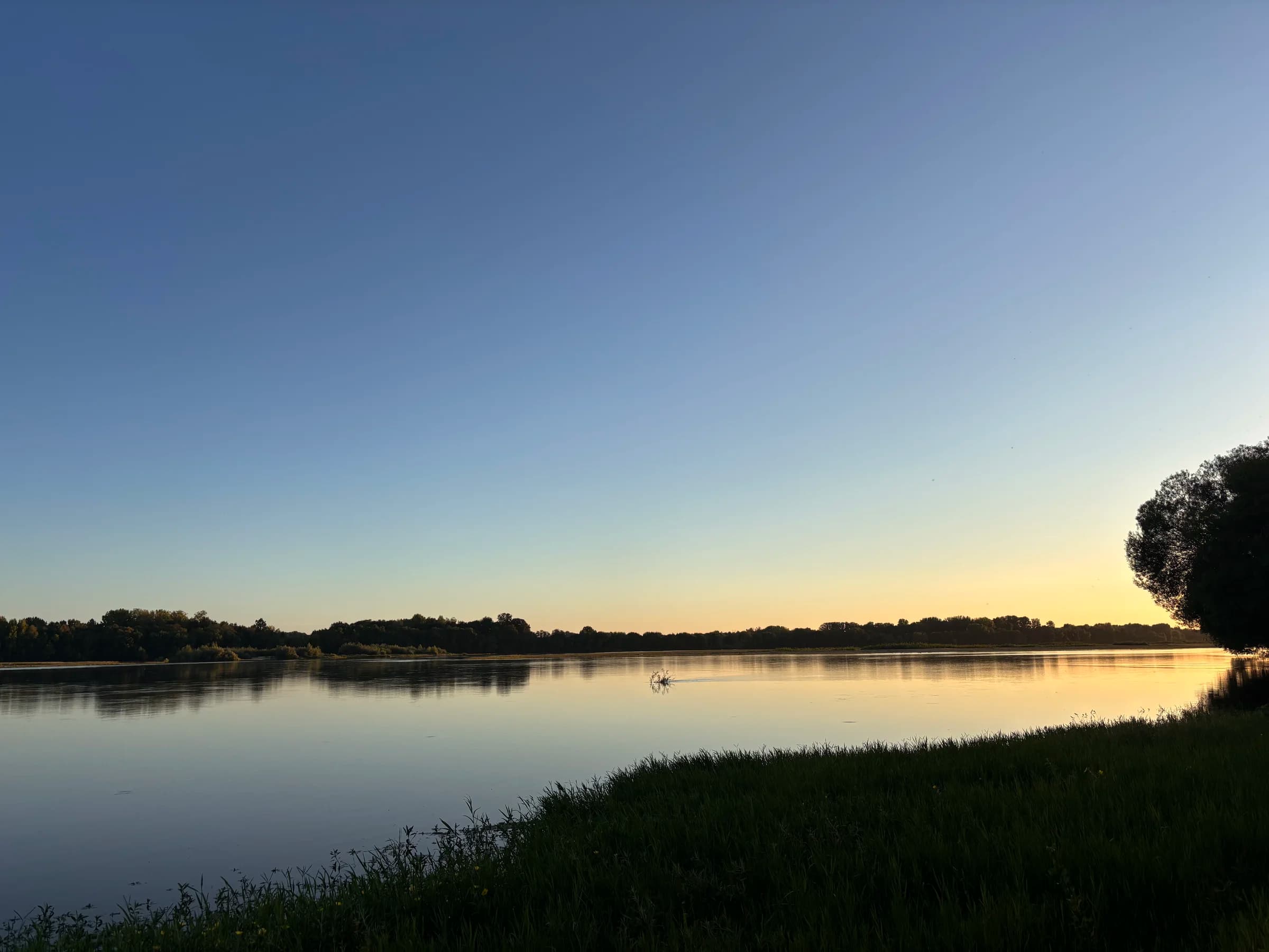 Paysage de la Loire